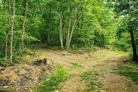 Tbd Calf Mountain Road Waynesboro VA 22980