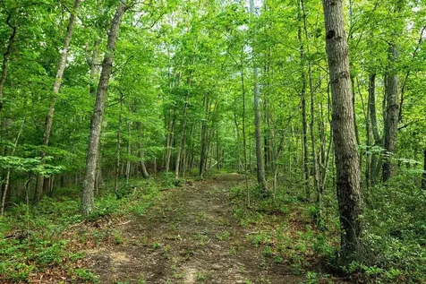 Tbd Calf Mountain Road Waynesboro VA 22980