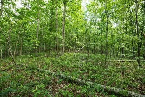 Tbd Calf Mountain Road Waynesboro VA 22980