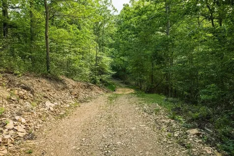Tbd Calf Mountain Road Waynesboro VA 22980