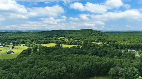 Tbd Calf Mountain Road Waynesboro VA 22980
