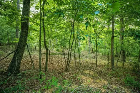 Tbd Calf Mountain Road Waynesboro VA 22980