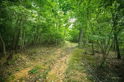 Tbd Calf Mountain Road Waynesboro VA 22980