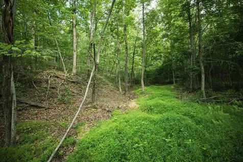 Tbd Calf Mountain Road Waynesboro VA 22980