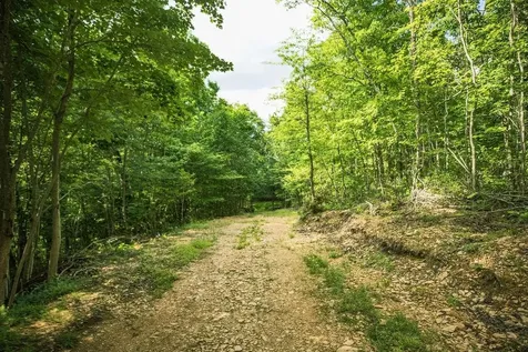 Tbd Calf Mountain Road Waynesboro VA 22980