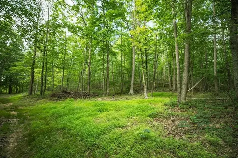 Tbd Calf Mountain Road Waynesboro VA 22980