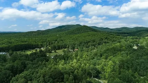 Tbd Calf Mountain Road Waynesboro VA 22980