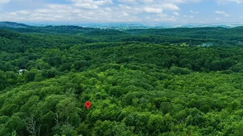 Tbd Calf Mountain Road Waynesboro VA 22980