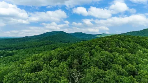 Tbd Calf Mountain Road Waynesboro VA 22980