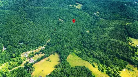 Tbd Calf Mountain Road Waynesboro VA 22980