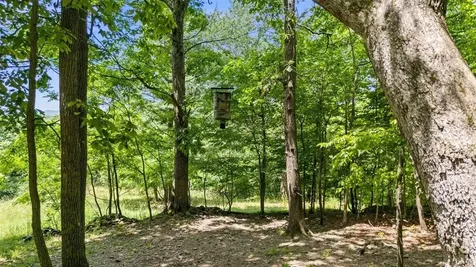 Lot 19, 20, 21 Hidden Hill Road Stanley VA 22851