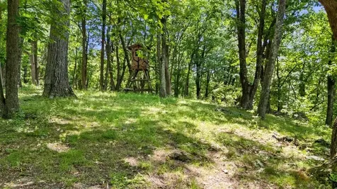Lot 19, 20, 21 Hidden Hill Road Stanley VA 22851