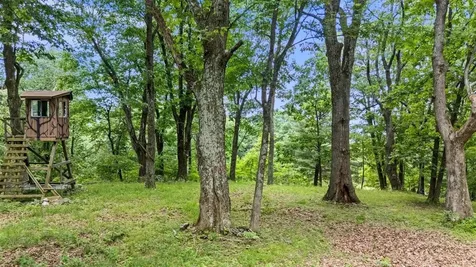 Lot 19, 20, 21 Hidden Hill Road Stanley VA 22851