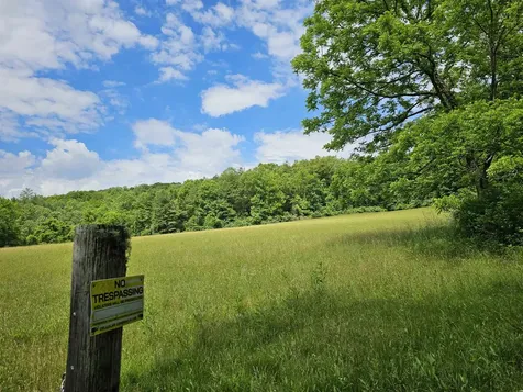 2105 Coles Mountain Road Hot Springs VA 24445