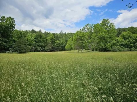 2105 Coles Mountain Road Hot Springs VA 24445