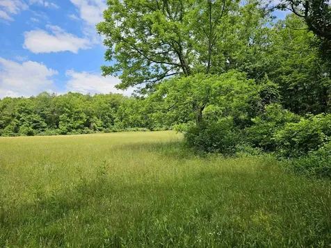 2105 Coles Mountain Road Hot Springs VA 24445
