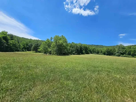 2105 Coles Mountain Road Hot Springs VA 24445