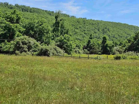 2105 Coles Mountain Road Hot Springs VA 24445