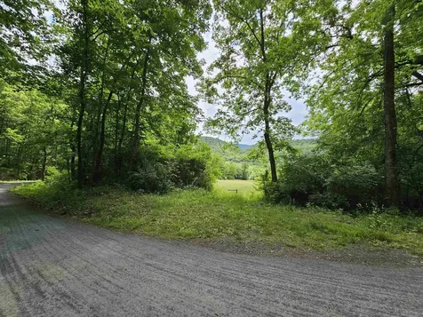 2105 Coles Mountain Road Hot Springs VA 24445
