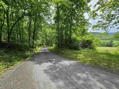 2105 Coles Mountain Road Hot Springs VA 24445