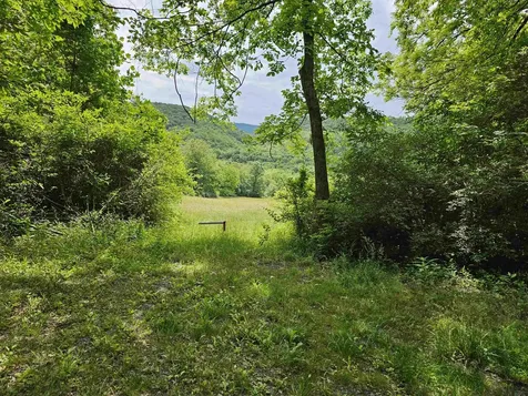 2105 Coles Mountain Road Hot Springs VA 24445