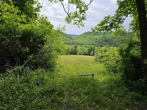 2105 Coles Mountain Road Hot Springs VA 24445