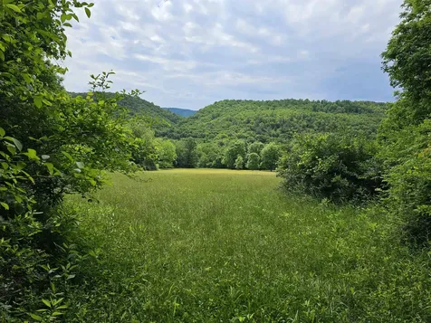 2105 Coles Mountain Road Hot Springs VA 24445