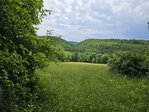 2105 Coles Mountain Road Hot Springs VA 24445