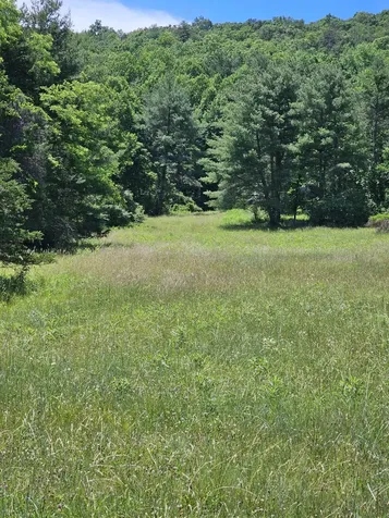 2105 Coles Mountain Road Hot Springs VA 24445