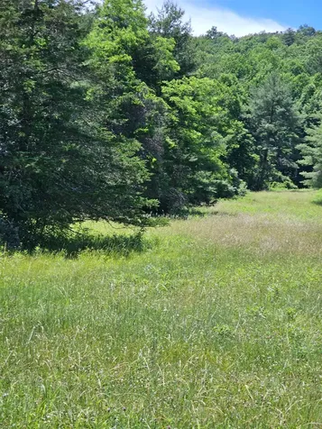 2105 Coles Mountain Road Hot Springs VA 24445
