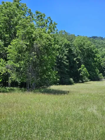 2105 Coles Mountain Road Hot Springs VA 24445