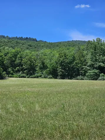 2105 Coles Mountain Road Hot Springs VA 24445