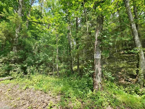 2105 Coles Mountain Road Hot Springs VA 24445