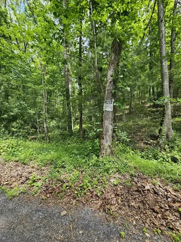 2105 Coles Mountain Road Hot Springs VA 24445