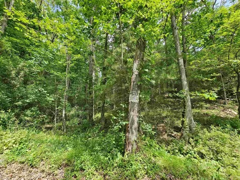 2105 Coles Mountain Road Hot Springs VA 24445