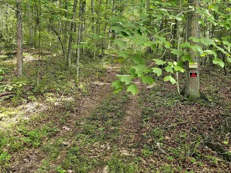 2105 Coles Mountain Road Hot Springs VA 24445
