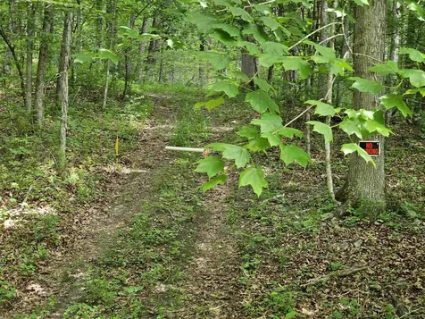 2105 Coles Mountain Road Hot Springs VA 24445