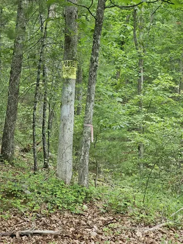 2105 Coles Mountain Road Hot Springs VA 24445