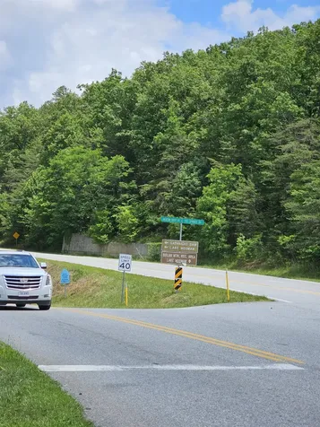 2105 Coles Mountain Road Hot Springs VA 24445