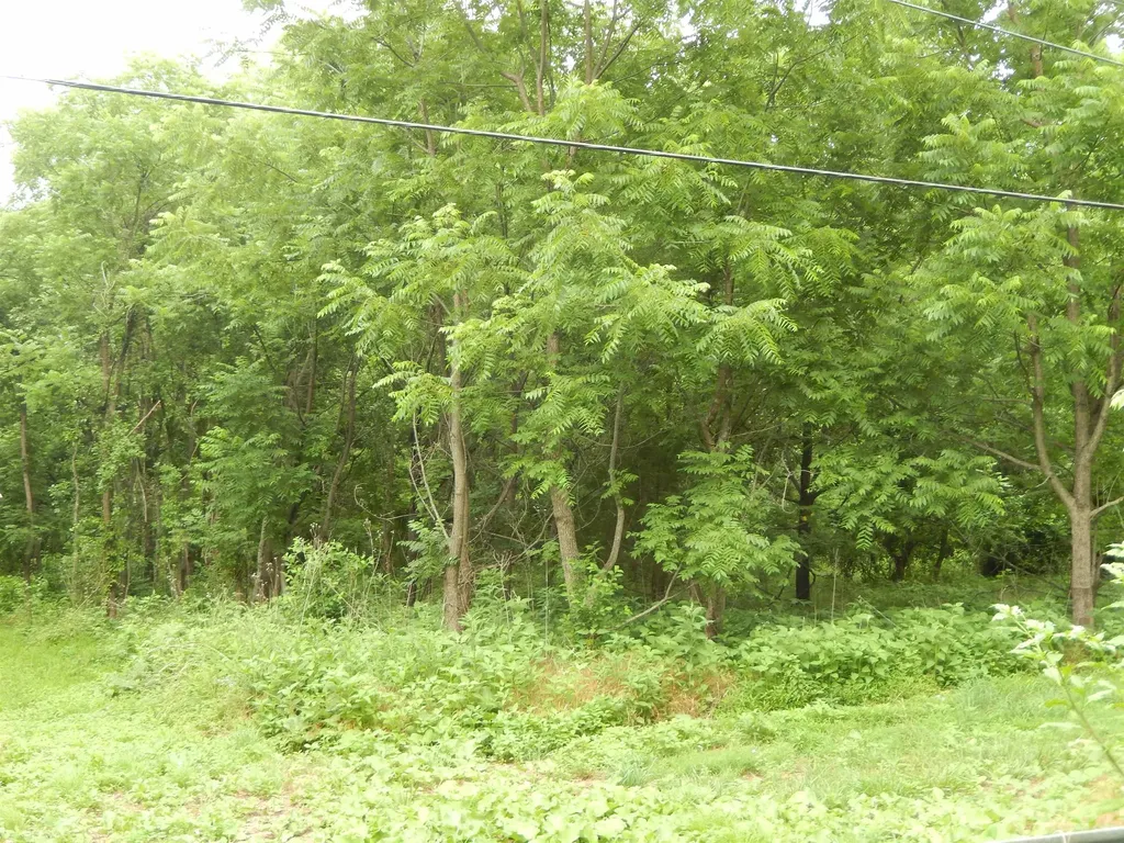 898 Sandy Bottom Road Elkton VA 22827