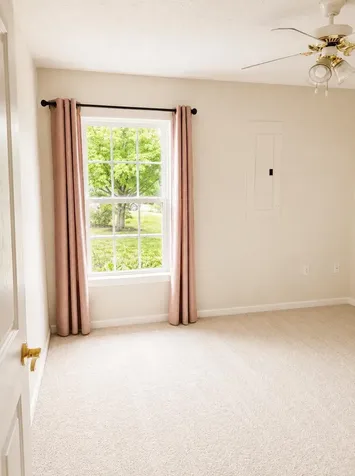 Waynesboro VA 22980