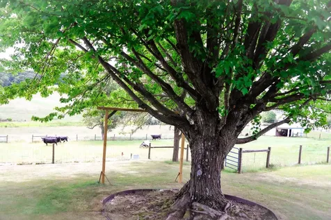 3592 Old Greenville Road Staunton VA 24401
