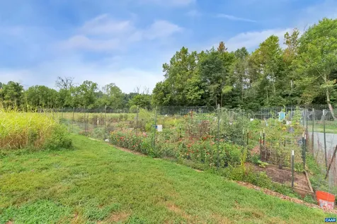 970 Charter Oaks Drive Charlottesville VA 22901
