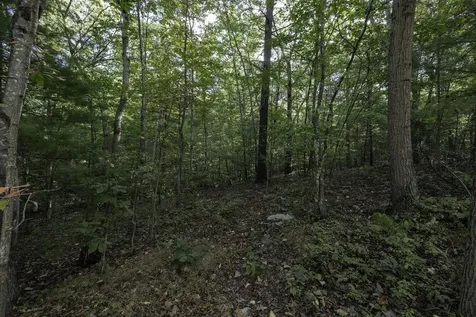 Lot D3 Holiday Hill Road Luray VA 22835