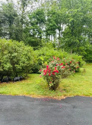 120 Shangrila Lane Waynesboro VA 22980