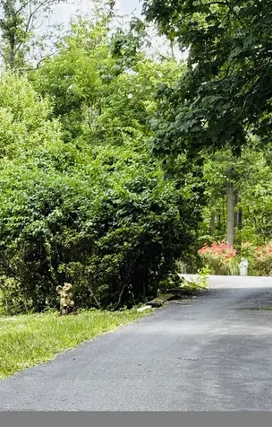 120 Shangrila Lane Waynesboro VA 22980