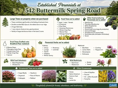 542 Buttermilk Spring Staunton VA 24401