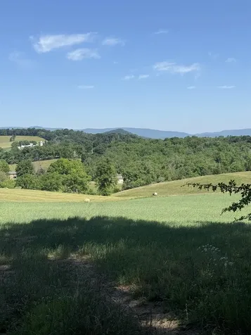 Tbd Arbor Hill Road Staunton VA 24401