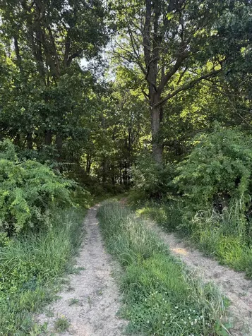 Tbd Arbor Hill Road Staunton VA 24401