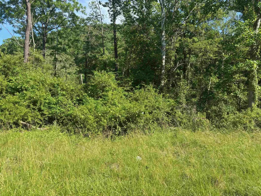 Tbd 1.99 Acres Parkersburg Turnpike Swoope VA 24479
